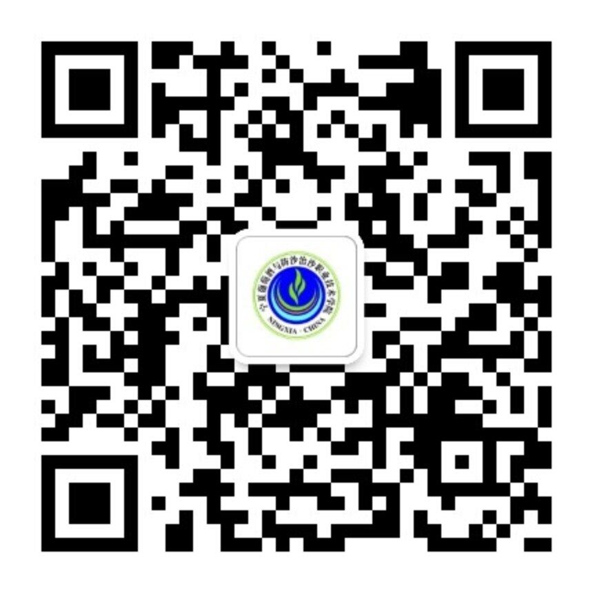 3377体育欧洲杯