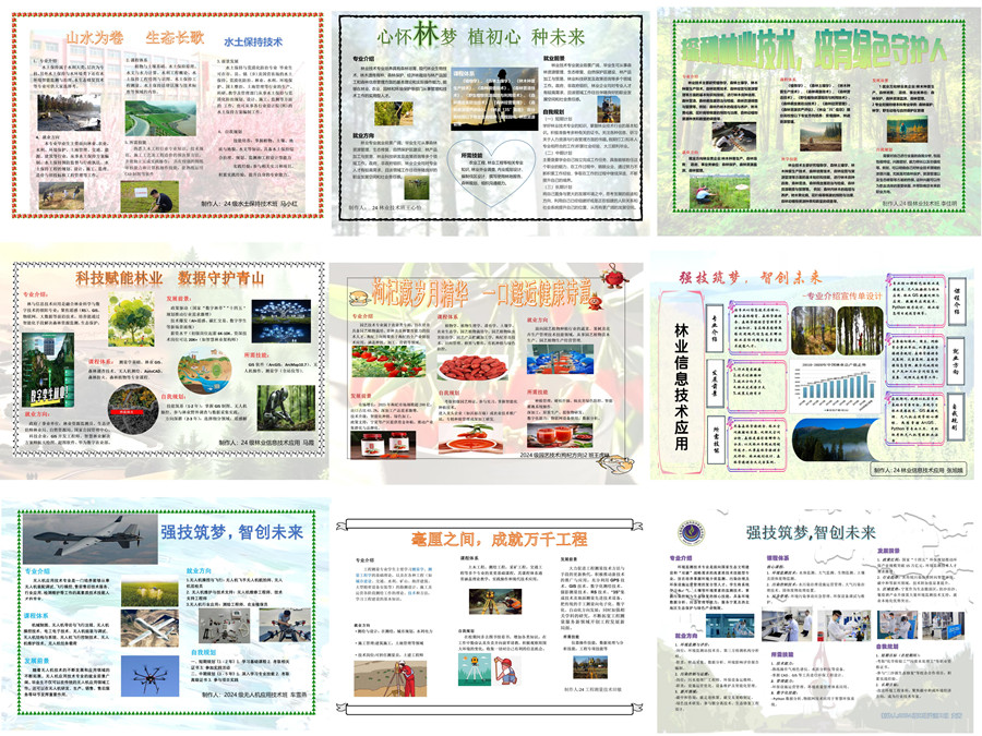 3377体育官方指定端图片