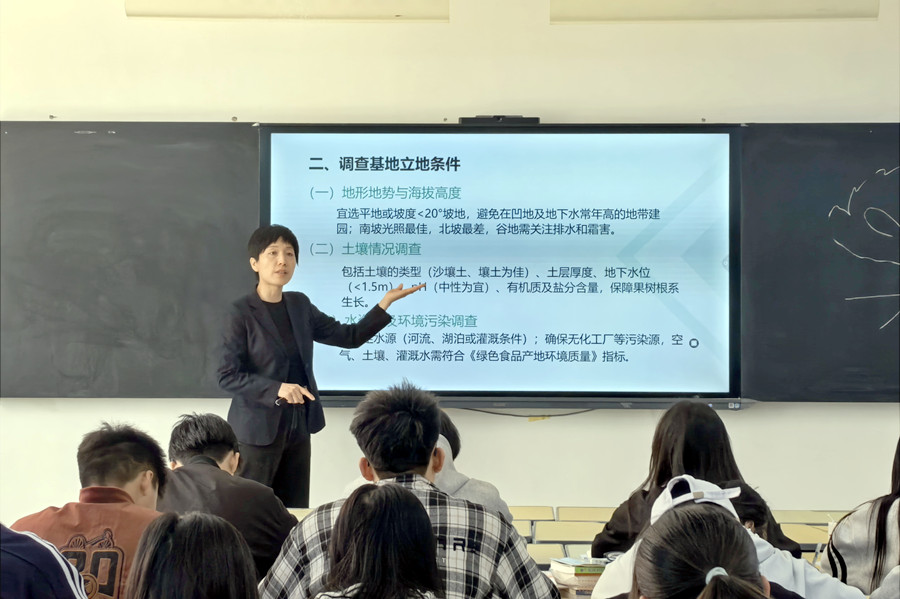 3377体育客户端图片