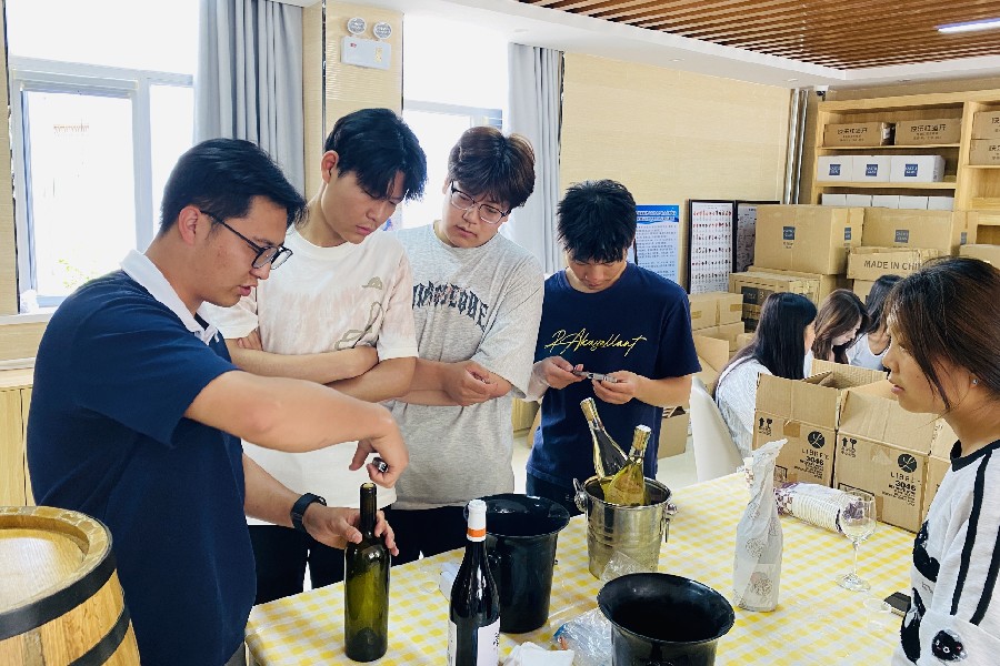 3377体育核心通道图片