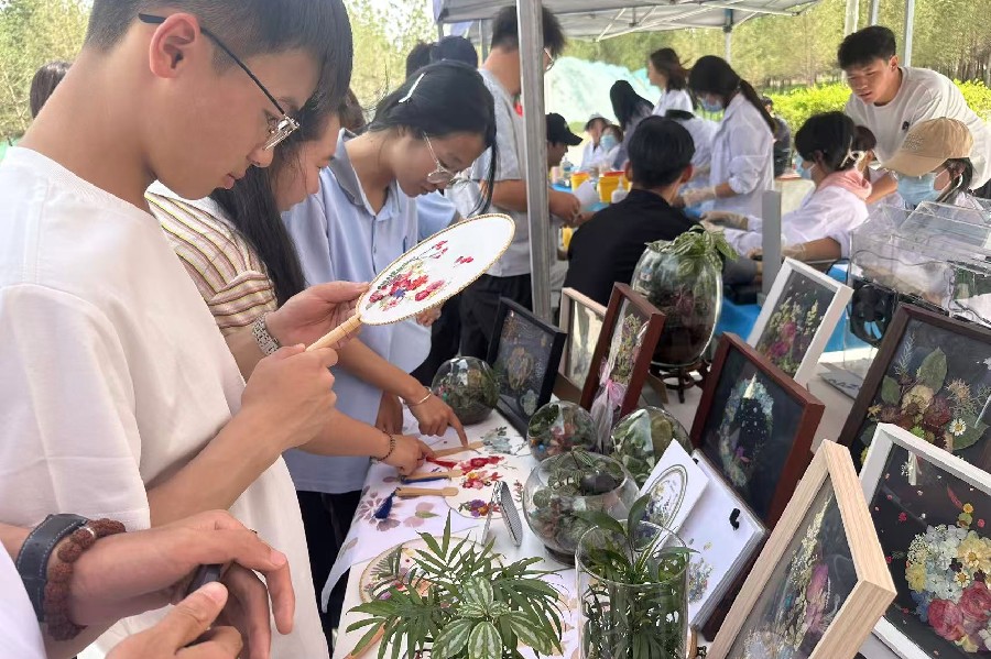 3377体育加速节点图片