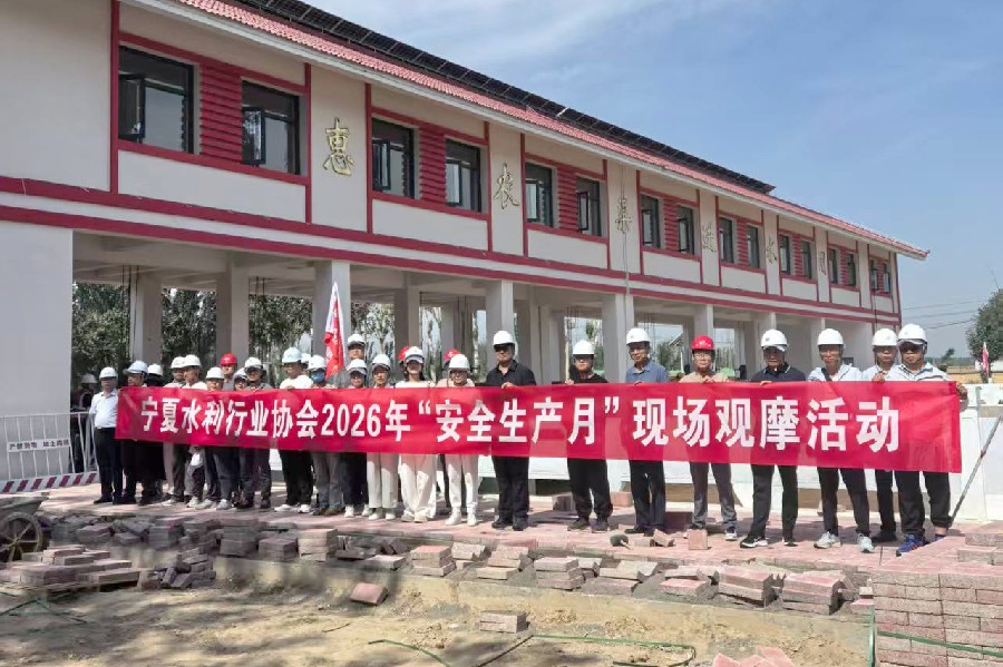 3377体育备用网址图片