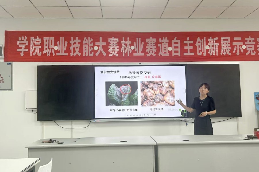 3377体育客户端图片