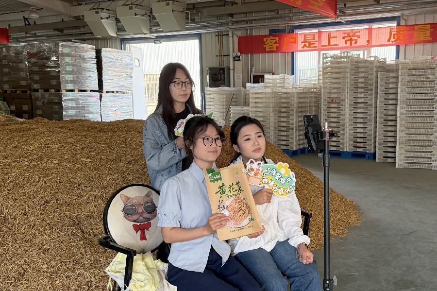 3377体育超级联赛图片