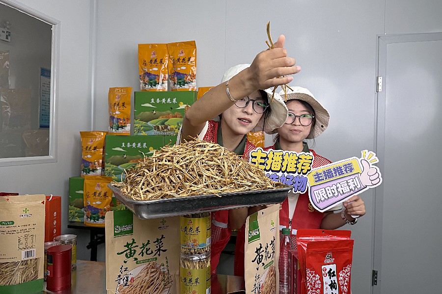 3377体育欧洲杯图片