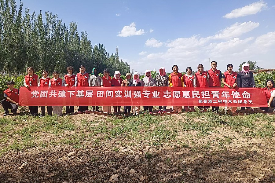 3377体育平台图片