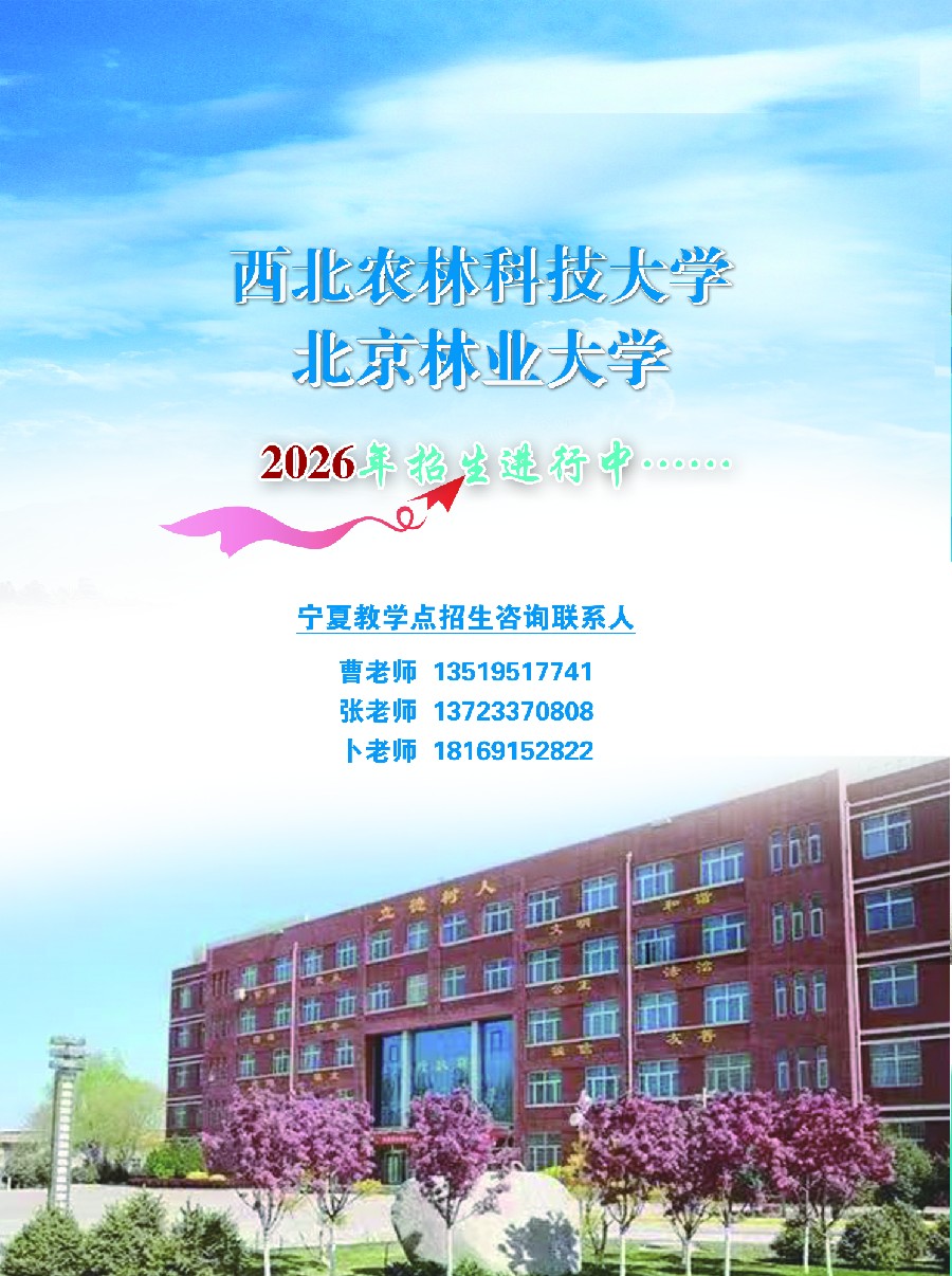 3377体育客户端图片