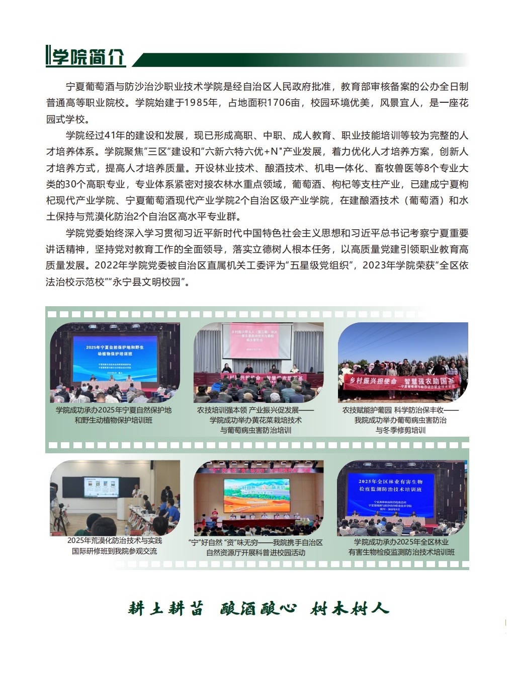 3377体育手机版图片
