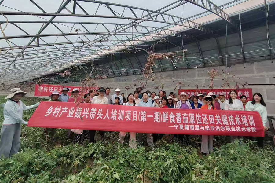 3377体育平台图片