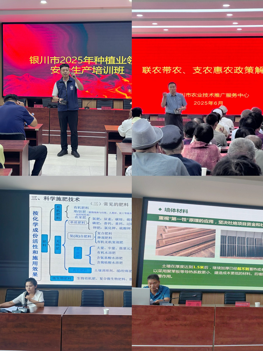 3377体育超级联赛图片