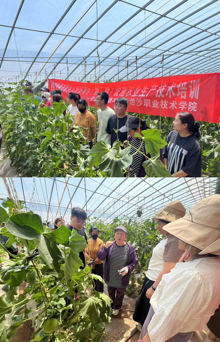 3377体育官方线路图片