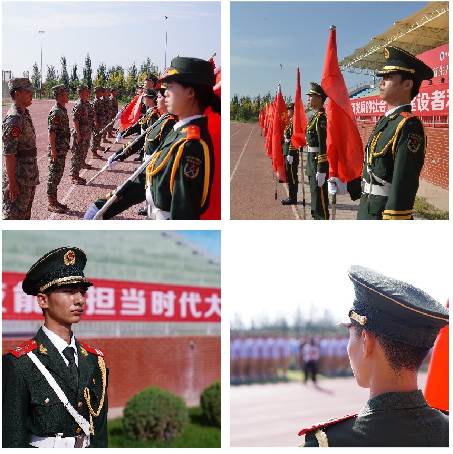 3377体育平台图片