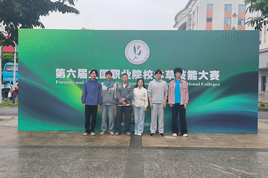 3377体育指定入口图片