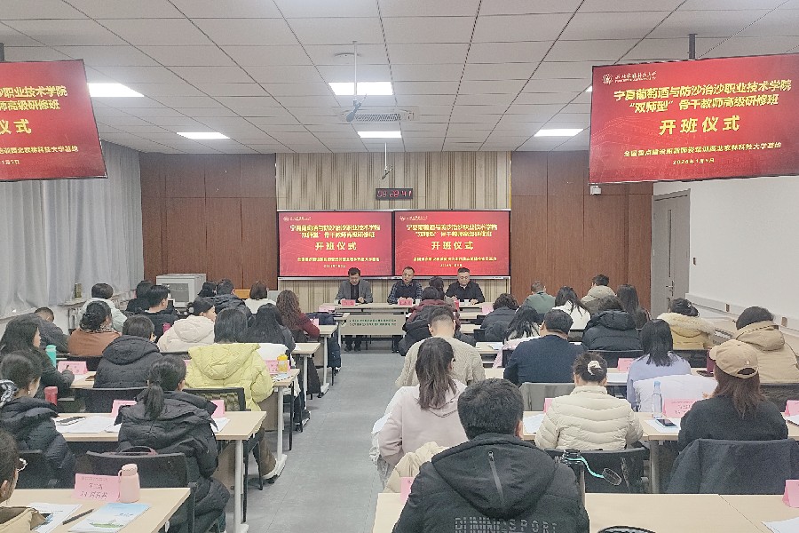 3377体育指定入口图片
