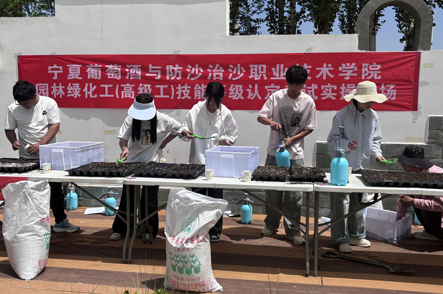 3377体育指定入口图片